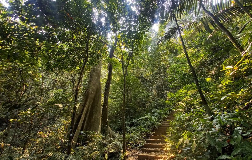 Cuc Phuong National Park