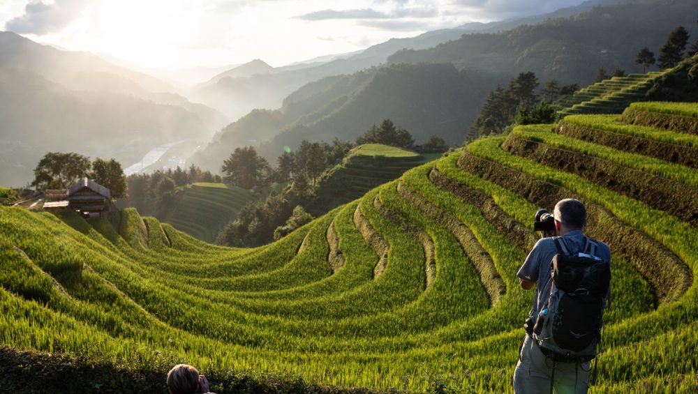 Rizières en terrasse