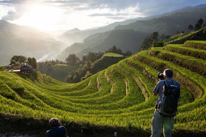 Rizières en terrasse
