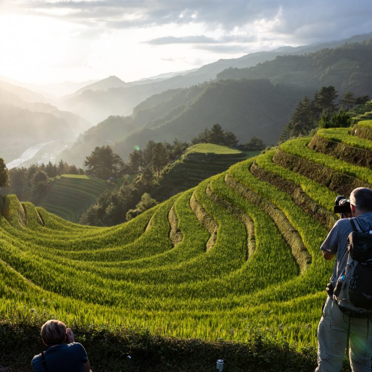 Rizières en terrasse